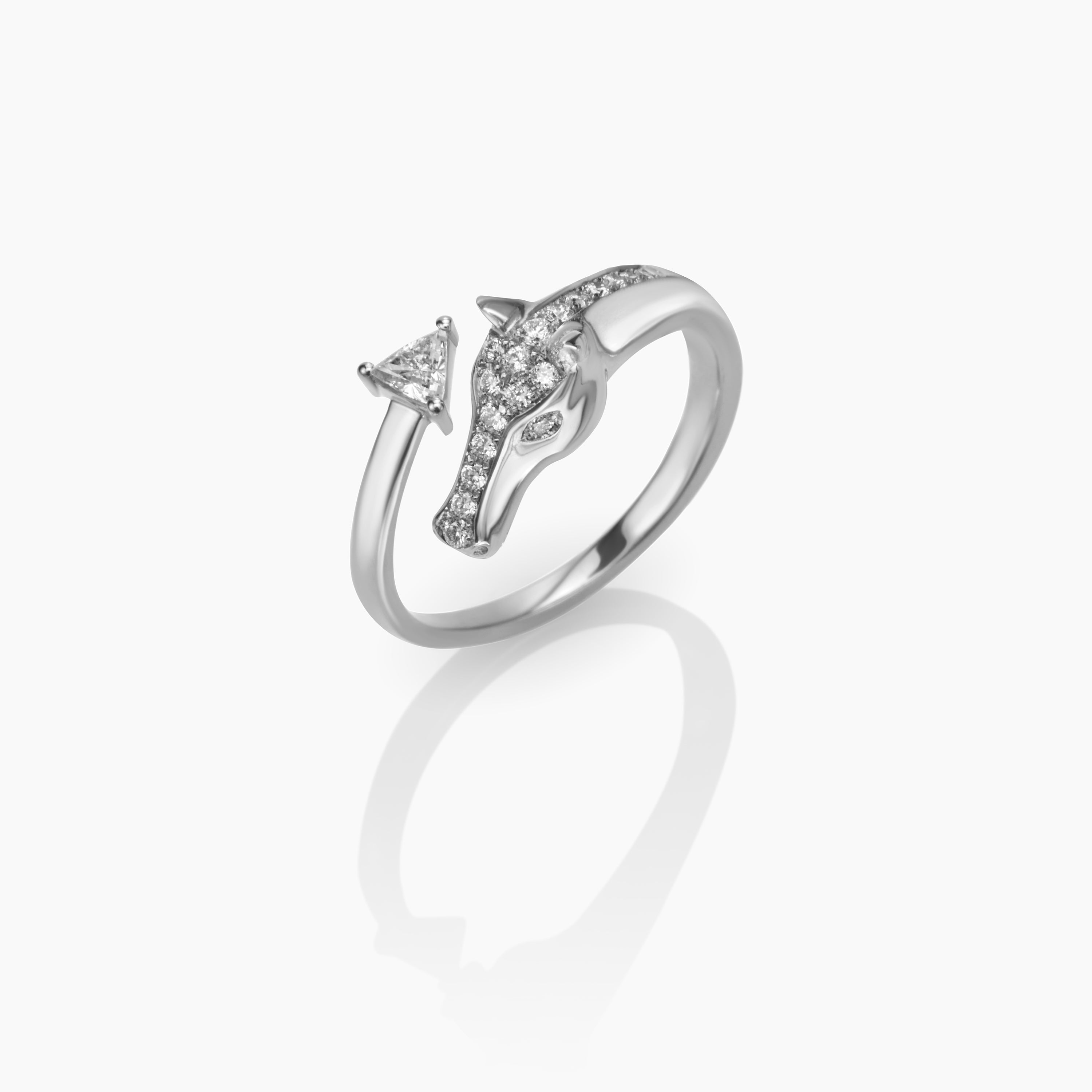 Horse Ring in white background