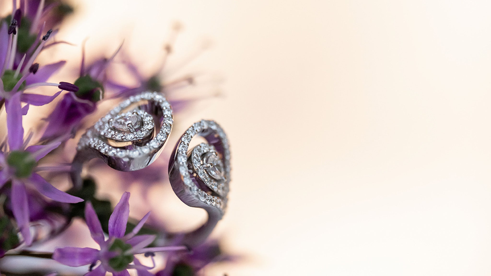 Venus Collection