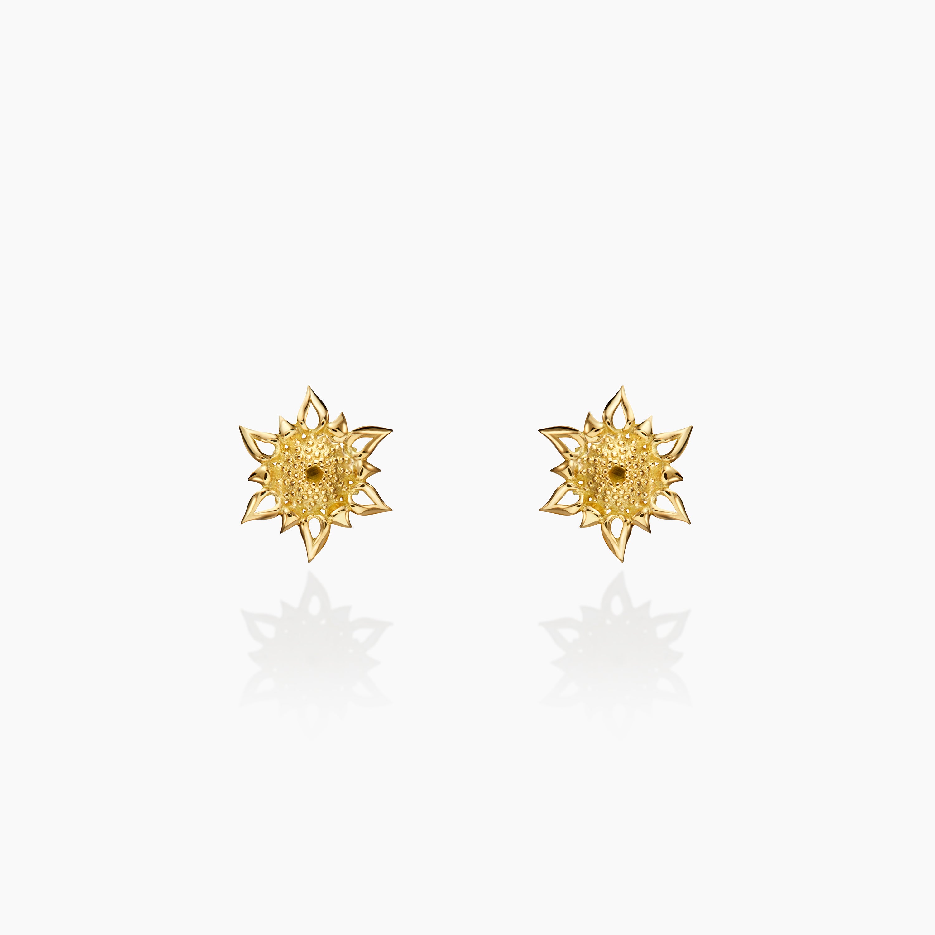 Apollo Echinus Hybrid Stud Earrings displayed against an off white background 