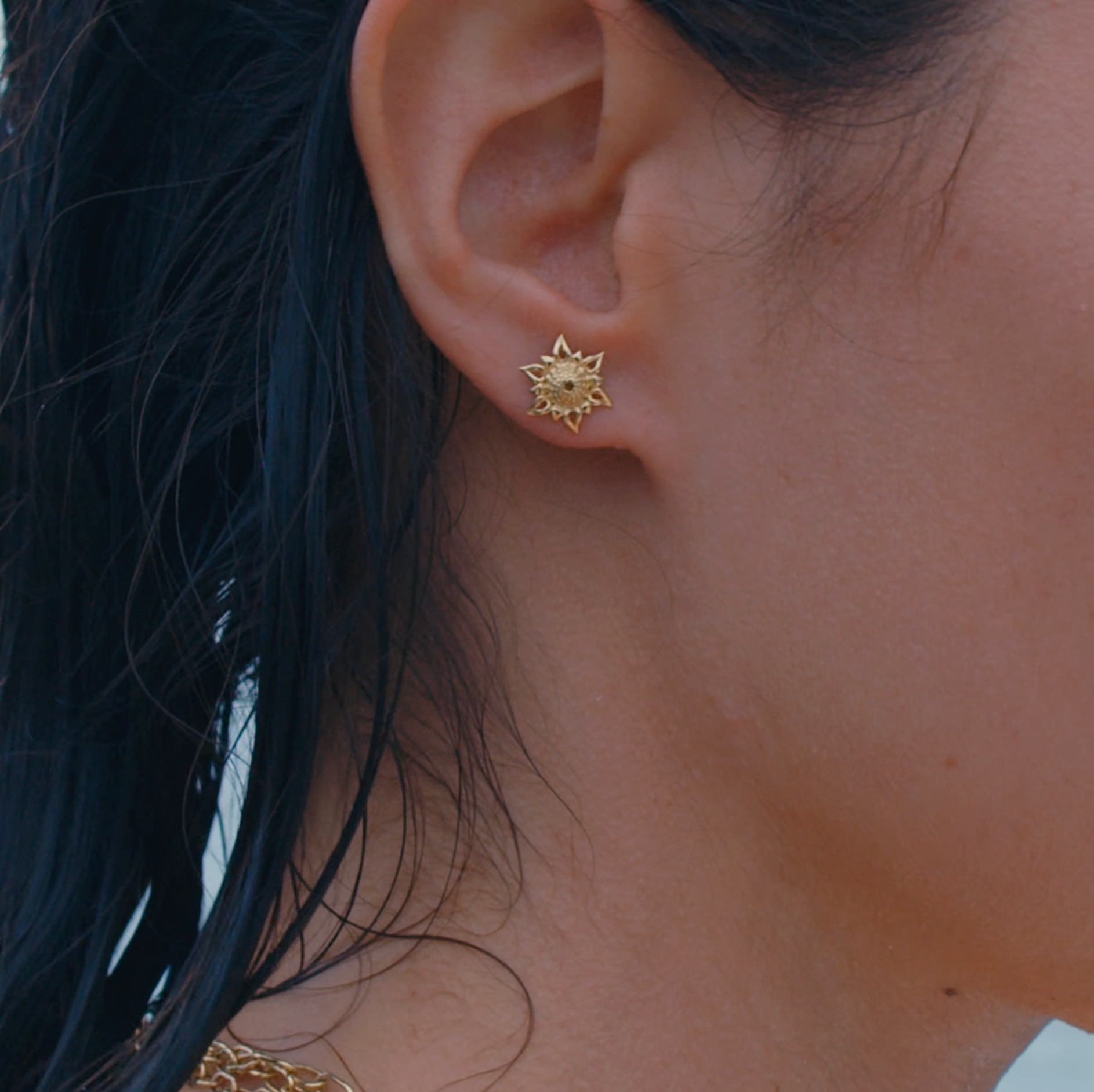 Apollo Echinus Hybrid Studs displayed on model 