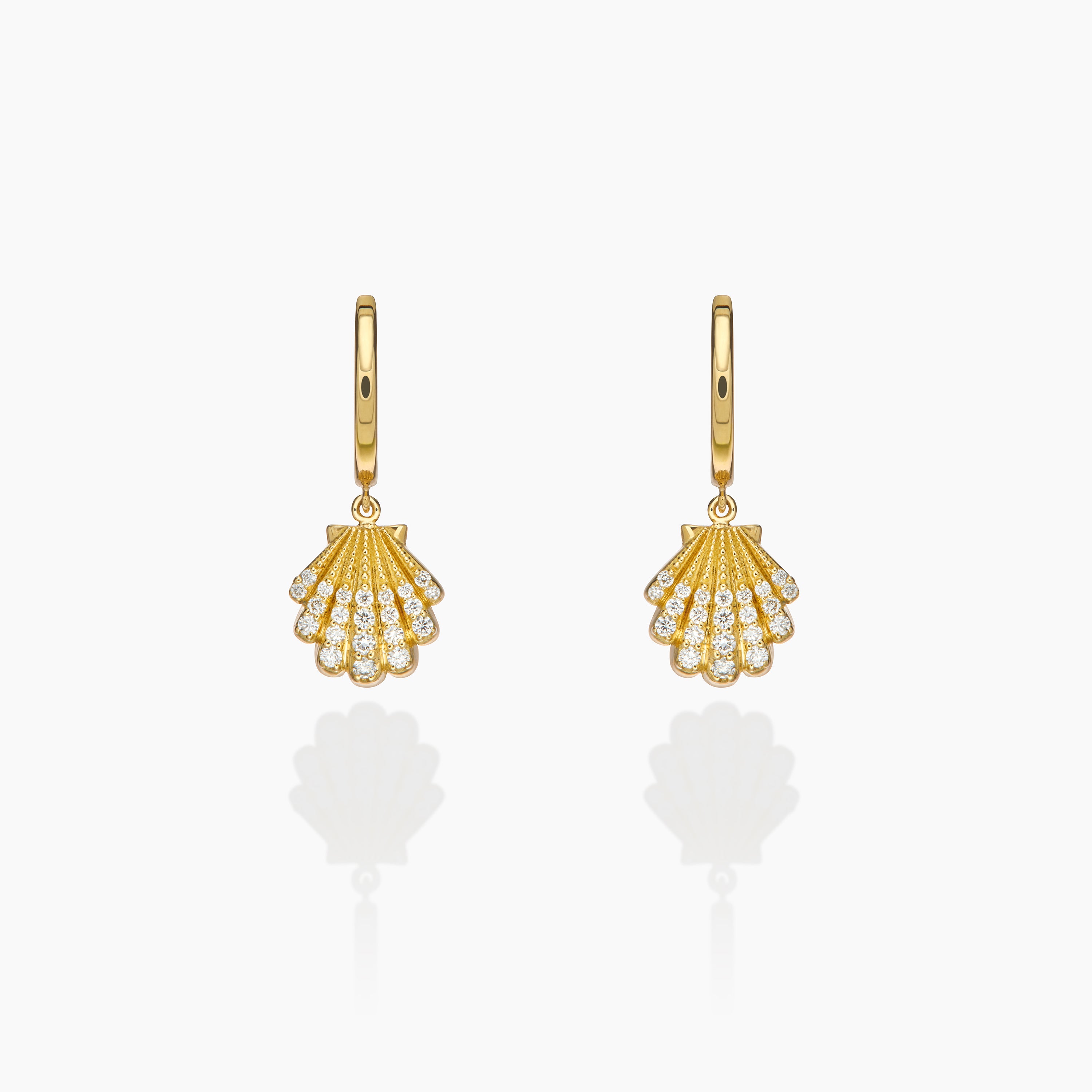 Sea Shell Earrings
