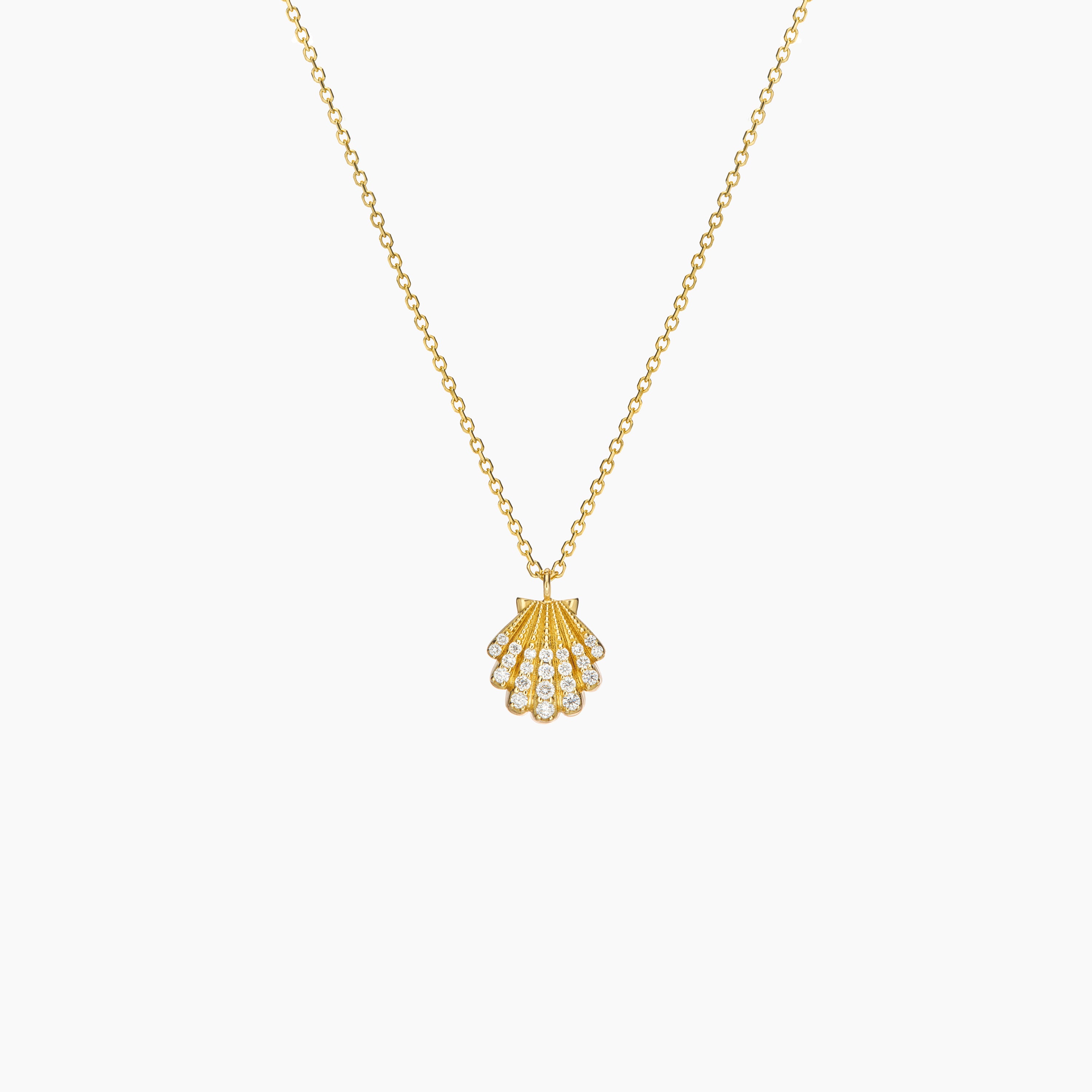 Sea Shell Necklace